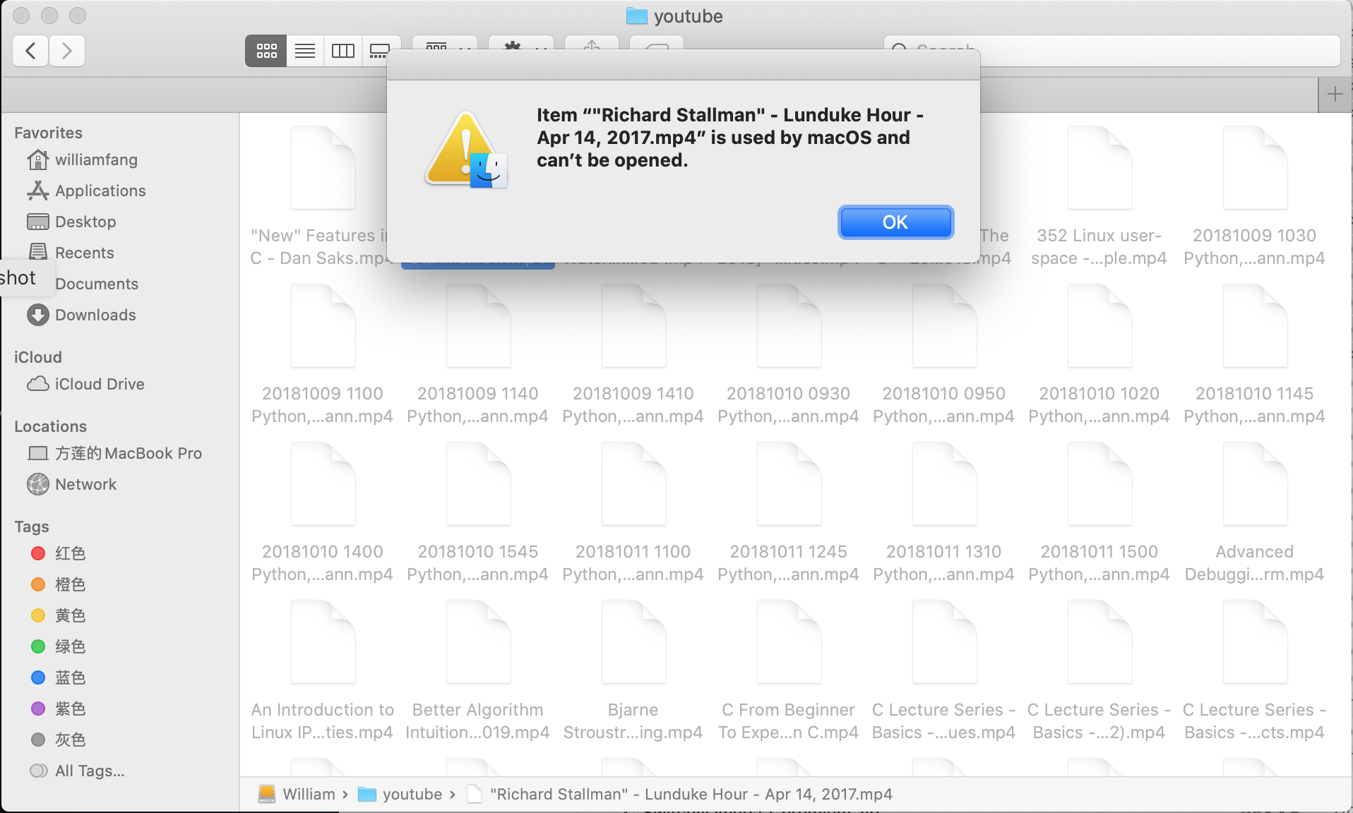 /images/2020-03-21-MacOS-无法读取移动硬盘文件(文件灰色,无法打开)/无法打开文件.png